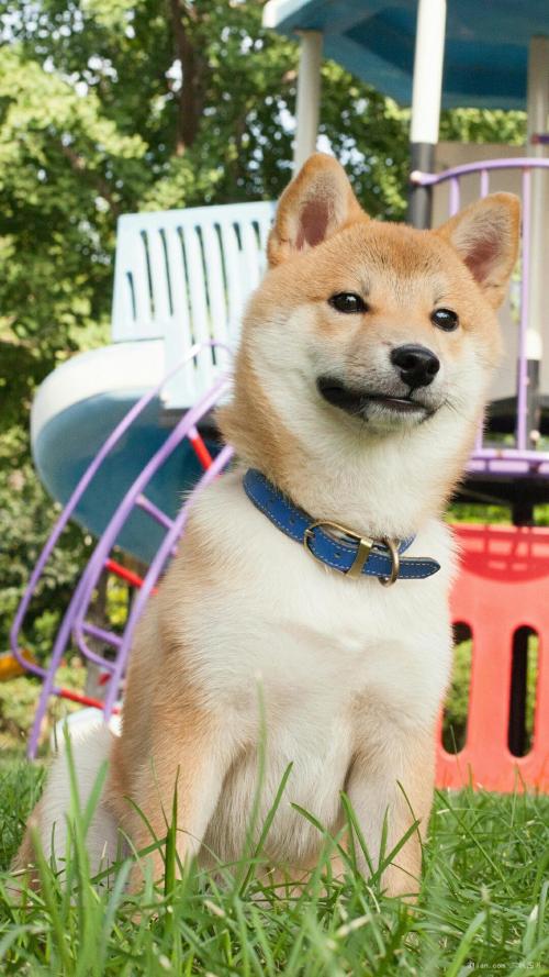 ɽۿൺִŶ:йǻ۸ۿػ